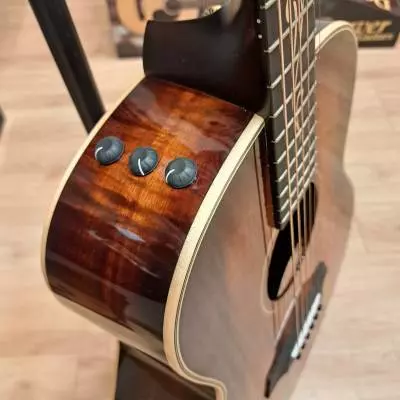 Taylor GT K21E 2